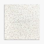 Terrazzo-Tile-TT13-2.jpg